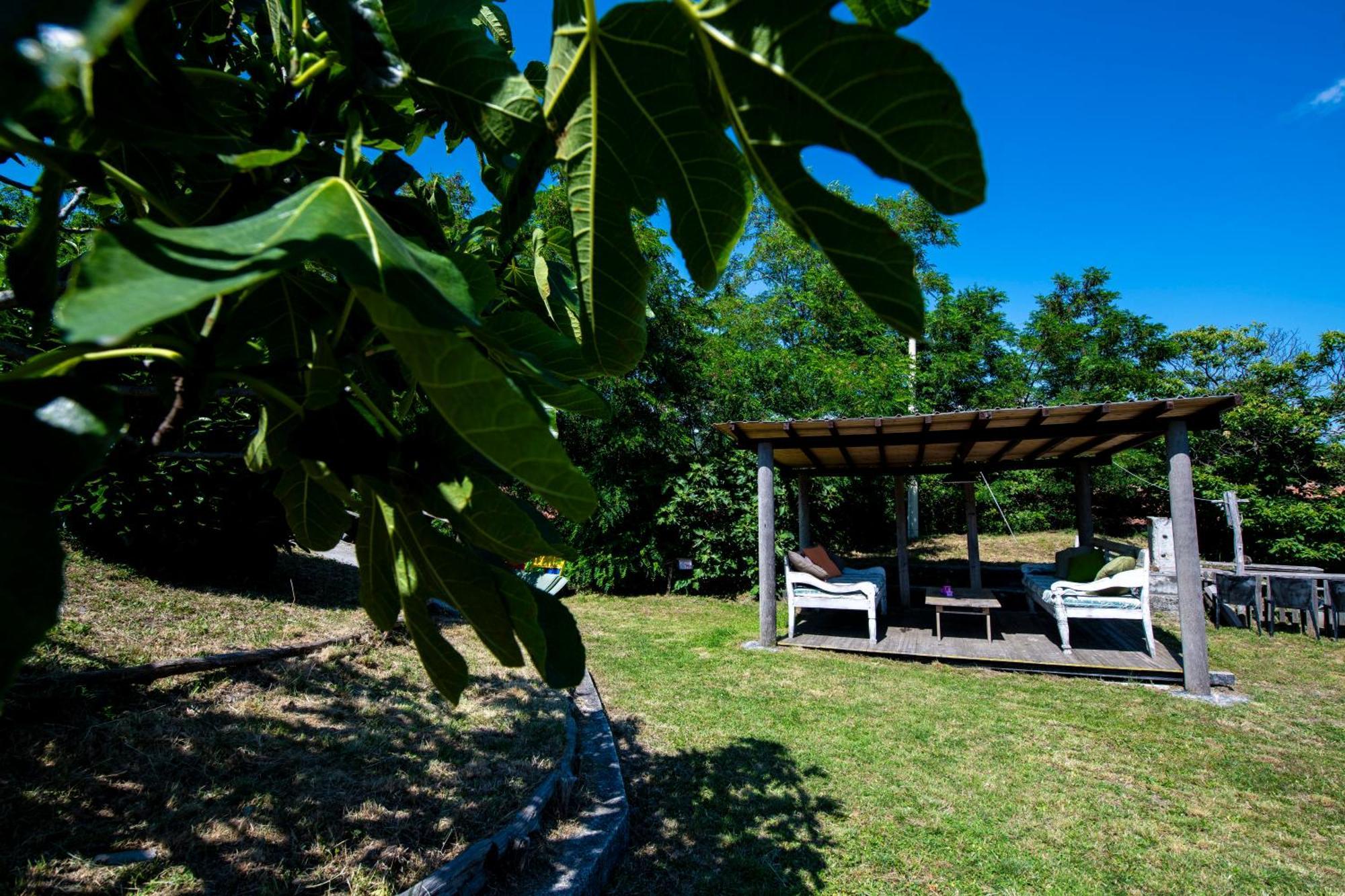 211 - Appartamento Acacia, Terrazza Giardino E Piscina Carro Kültér fotó